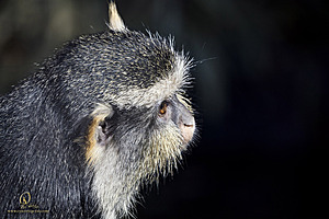 SacZoo_PH20_IMG_4634.jpg