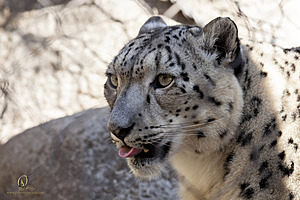 SacZoo_PH20_IMG_4839.jpg