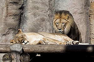 SacZoo_PH20_IMG_4942.jpg