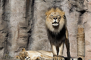 SacZoo_PH20_IMG_4948.jpg