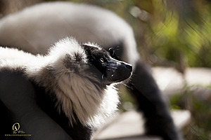 SacZoo_PH20_IMG_5277.jpg