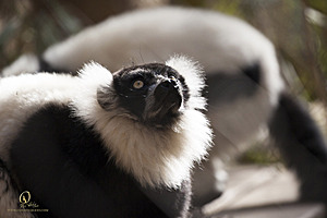 SacZoo_PH20_IMG_5283.jpg