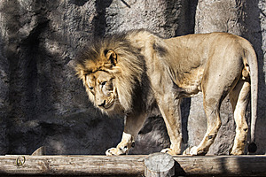 SacZoo_PH20_IMG_5450.jpg