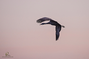 124WB_PH20_IMG_3796.jpg