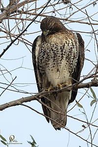 SNWR_PH21_IMG_4075.jpg