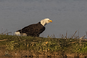 SNWR_PH21_IMG_4330.jpg
