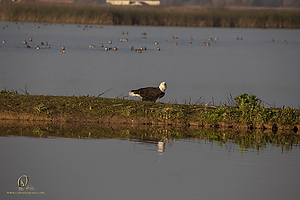 SNWR_PH21_IMG_4360.jpg