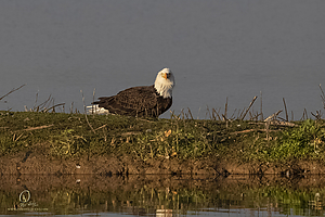 SNWR_PH21_IMG_4383.jpg