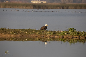 SNWR_PH21_IMG_4405.jpg