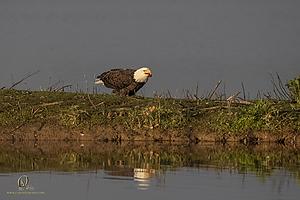 SNWR_PH21_IMG_4429.jpg
