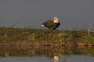 SNWR_PH21_IMG_4435.jpg
