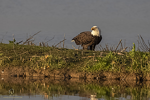 SNWR_PH21_IMG_4451.jpg