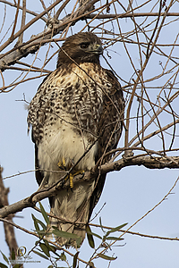SNWR_PH21_IMG_4676.jpg