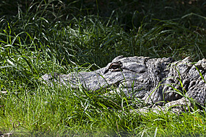 SacZoo_PH21_IMG_0624.jpg