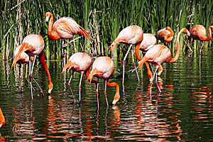 SacZoo_PH21_IMG_0626.jpg