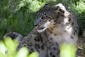 SacZoo_PH21_IMG_0683.jpg