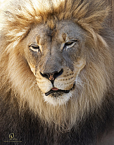 SacZoo_PH21_IMG_0737.jpg