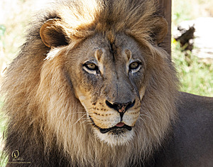 SacZoo_PH21_IMG_0743.jpg