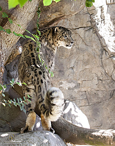 SacZoo_PH21_IMG_0757.jpg