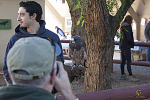 raptors_PR17_IMG_1808.jpg