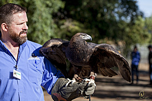 raptors_PR17_IMG_2001.jpg