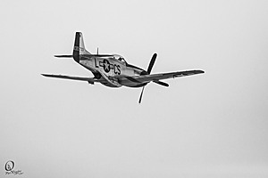 CCA_PR17_IMG_9847.jpg