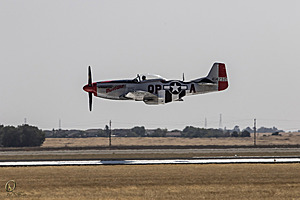CCA_PR17_IMG_8852.jpg