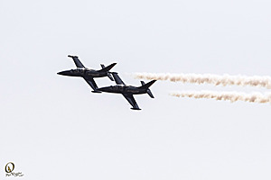 CCA_PR17_IMG_9446.jpg