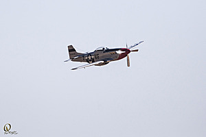CCA_PR17_IMG_9787.jpg