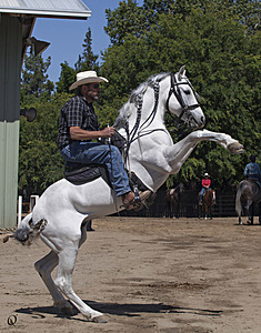 HEx_PR17_IMG_7835.jpg