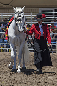 HEx_PR17_IMG_8078_2.jpg