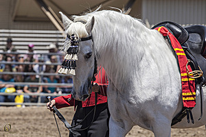 HEx_PR17_IMG_8099_2.jpg
