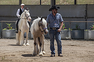 HEx_PR17_IMG_8280.jpg