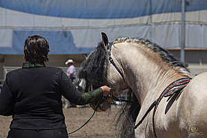HEx_PR17_IMG_8285.jpg
