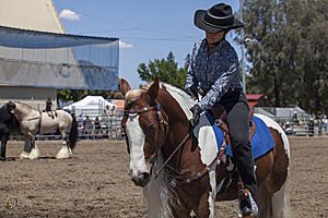 HEx_PR17_IMG_8333.jpg