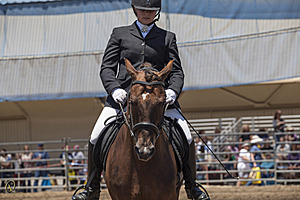 HEx_PR17_IMG_8007.jpg