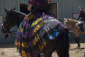 HEx_PR17_IMG_8057.jpg
