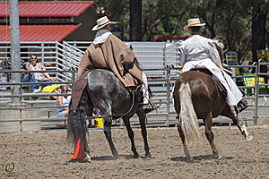HEx_PR17_IMG_8528.jpg