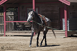 HEx_PR17_IMG_7621.jpg