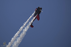 251_CCA-S_PH18_IMG_3921.jpg