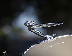 CAFair_PH18_IMG_8400.jpg