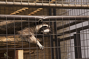 CAFair_PH18_IMG_8711.jpg