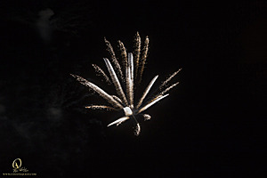 CAFair_PH18_IMG_8981.jpg