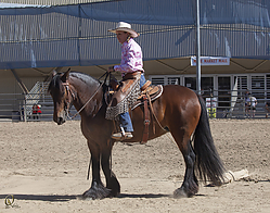 Fell-HE_PH18_IMG_6146.jpg