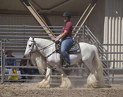Gypsy-HE_PH18_IMG_7155.jpg