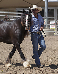 Gypsy-HE_PH18_IMG_7162.jpg