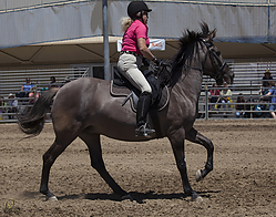 Kiger-HE_PH18_IMG_6963.jpg