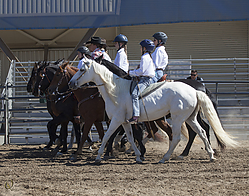 Pasos-HE_PH18_IMG_6187.jpg