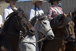 Pasos-HE_PH18_IMG_6190.jpg