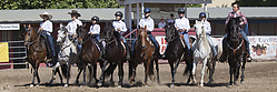 Pasos-HE_PH18_IMG_6317.jpg
